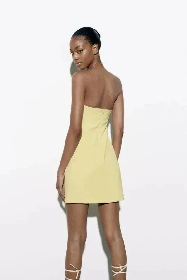 Women's Party Strapless Mini Dress with A-Line Skirt